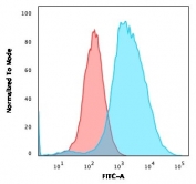 Flow cytometry staining of PFA-fixed human MCF7 cells with pS2 antibody; Red=isotype control, Blue= TFF1/2133 antibody.