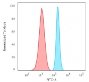 FACS testing of fixed and permeabilized human HeLa cells with recombinant Spectrin beta III antibody (blue) and isotype control (red).