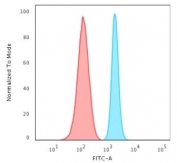FACS testing of fixed and permeabilized human HeLa cells with recombinant Spectrin beta III antibody (blue) and isotype control (red).