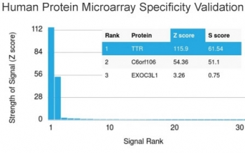Analysis of HuProt(TM) microarray containing more than 19,000 full-length human proteins using Prealbumin antibody. These results demonstrate the foremost specificity of the CPTC-TTR-1 mAb.<BR>Z- and S- score: The Z-score represents the strength of a signal that an antibody (in combination with a fluorescent
