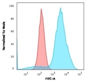 Flow cytometry testing of permeabilized human SKBR-3 cells with recombinant B7-H4 antibody (clone B7H4/2652R); Red=isotype control, Blue= recombinant B7-H4 antibody.