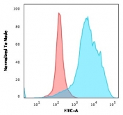 Flow cytometry testing of PFA-fixed human U-87 MG cells with CD63 antibody (clone LAMP3/2990R); Red=isotype control, Blue= CD63 antibody.