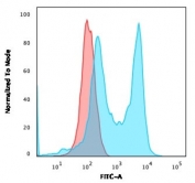 Flow cytometry testing of human MOLT4 cells with CD6 antibody (clone C6/2884R); Red=isotype control, Blue= CD6 antibody.