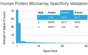 Analysis of HuProt(TM) microarray containing more than 19,000 full-length human proteins using CD80 antibody (clone C80/2776). These results demonstrate the foremost specificity of the C80/2776 mAb. Z- and S- score: The Z-score represents the strength of a signal that an antibody (in combination with a fluorescently-tagged anti-IgG secondary Ab) produces when binding to a particular protein on the HuProt(TM) array. Z-scores are described in units of standard deviations (SD's) above the mean value of all signals generated on that array. If the targets on the HuProt(TM) are arranged in descending order of the Z-score, the S-score is the difference (also in units of SD's) between the Z-scores. The S-score therefore represents the relative target specificity of an Ab to its intended target.