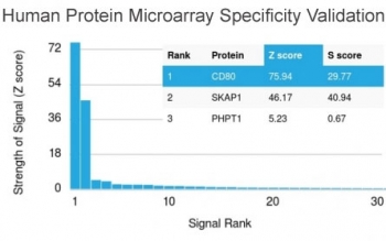 Analysis of HuProt(TM) microarray containi