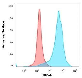 Flow cytometry testing of PFA-fixed human U-87 MG cells with recombinant CD63 antibody (clone rMX-49.129.5); Red=isotype control, Blue= CD63 antibody.~