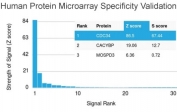 Analysis of HuProt(TM) microarray containing more than 19,000 full-length human proteins using CDC34 antibody (clone CPTC-CDC34-2). These results demonstrate the foremost specificity of the CPTC-CDC34-2 mAb. Z- and S- score: The Z-score represents the strength of a signal that an antibody (in combination with a fluorescently-tagged anti-IgG secondary Ab) produces when binding to a particular protein on the HuProt(TM) array. Z-scores are described in units of standard deviations (SD's) above the mean value of all signals generated on that array. If the targets on the HuProt(TM) are arranged in descending order of the Z-score, the S-score is the difference (also in units of SD's) between the Z-scores. The S-score therefore represents the relative target specificity of an Ab to its intended target.