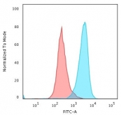 Flow cytometry testing of PFA-fixed human HeLa cells with recombinant Keratin 18 antibody (clone CTKN18-2R); Red=isotype control, Blue= recombinant Keratin 18 antibody.