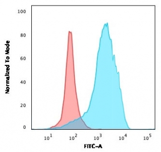 Flow cytometry testing of PFA-fixed human U-87 MG cells with CD63 antibody (clone CDLA63-2R); Red=isotype control, Blue= CD63 antibody.~