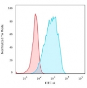 FACS testing of human Raji cells with recombinant HLA-DQ antibody (blue, clone HLA-DQA1/2866R) and isotype control (red).