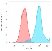 Flow cytometry testing of PFA-fixed human MCF7 cells with HSP27 antibody (clone CPTC-HSPB1-2); Red=isotype control, Blue= HSP27 antibody.