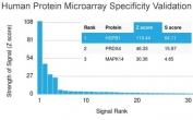 Analysis of HuProt(TM) microarray containing more than 19,000 full-length human proteins using HSP27 antibody (clone CPTC-HSPB1-2). These results demonstrate the foremost specificity of the CPTC-HSPB1-2 mAb. Z- and S- score: The Z-score represents the strength of a signal that an antibody (in combination with a fluorescently-tagged anti-IgG secondary Ab) produces when binding to a particular protein on the HuProt(TM) array. Z-scores are described in units of standard deviations (SD's) above the mean value of all signals generated on that array. If the targets on the HuProt(TM) are arranged in descending order of the Z-score, the S-score is the difference (also in units of SD's) between the Z-scores. The S-score therefore represents the relative target specificity of an Ab to its intended target.
