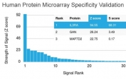 Analysis of HuProt(TM) microarray containing more than 19,000 full-length human proteins using CD123 antibody (clone IL3RA/2947R). These results demonstrate the foremost specificity of the IL3RA/2947R mAb. Z- and S- score: The Z-score represents the strength of a signal that an antibody (in combination with a fluorescently-tagged anti-IgG secondary Ab) produces when binding to a particular protein on the HuProt(TM) array. Z-scores are described in units of standard deviations (SD's) above the mean value of all signals generated on that array. If the targets on the HuProt(TM) are arranged in descending order of the Z-score, the S-score is the difference (also in units of SD's) between the Z-scores. The S-score therefore represents the relative target specificity of an Ab to its intended target.