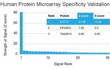 Analysis of HuProt(TM) microarray containing more than 19,000 full-length human proteins using Cytokeratin 15 antibody (clone KRT15/2554). These results demonstrate the foremost specificity of the KRT15/2554 mAb.<br>Z- and S- score: The Z-score represents the strength of a signal that an antibody (in combination with a fluorescently-tagged anti-IgG secondary Ab) produces when binding to a particular protein on the HuProt(TM) array. Z-scores are described in units of standard deviations (SD's) above the mean value of all signals generated on that array. If the targets on the HuProt(TM) are arranged in descending order of the Z-score, the S-score is the difference (also in units of SD's) between the Z-scores. The S-score therefore represents the relative target specificity of an Ab to its intended target.