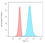 Flow cytometry testing of permeabilized human HeLa cells with CK18 antibody (clone KRT18/2808R); Red=isotype control, Blue= anti-CK18 antibody.