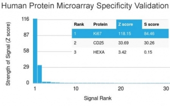 Analysis of HuProt(TM) microarray containing more than 19,000 full-length human proteins using Ki-67 antibody (clone MKI67/2466). These results demonstrate the foremost specificity of the MKI67/2466 mAb.<BR>Z- and S- score: The Z-score represents the strength of a signal that an antibody (in combination with a fluorescently-tagged anti-IgG secondary Ab) produces when binding to a particular protein on the HuProt(TM) array. Z-scores are described in units of standard deviations (SD's) above the mean value of all signals generated on that array. If the targets on the HuProt(TM) are arranged in descending order of the Z-score, the S-score is the difference (also in units of SD's) between the Z-scores. The S-score therefore represents the relative target specificity of an Ab to its intended target.