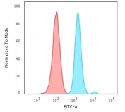 FACS testing of human HeLa cells with Ki67 antibody (blue, clone MKI67/2461) and isotype control (red). Cells were trypsinized and 2-4% PFA-fixed prior to staining. 