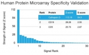 Analysis of HuProt(TM) microarray containing more than 19,000 full-length human proteins using Cathepsin D antibody (clone CTSD/2781). These results demonstrate the foremost specificity of the CTSD/2781 mAb. Z- and S- score: The Z-score represents the strength of a signal that an antibody (in combination with a fluorescently-tagged anti-IgG secondary Ab) produces when binding to a particular protein on the HuProt(TM) array. Z-scores are described in units of standard deviations (SD's) above the mean value of all signals generated on that array. If the targets on the HuProt(TM) are arranged in descending order of the Z-score, the S-score is the difference (also in units of SD's) between the Z-scores. The S-score therefore represents the relative target specificity of an Ab to its intended target.