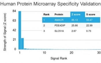 Analysis of HuProt(TM) microarray containing more than 19,000 full-length human proteins using AMACR antibody (clone AMACR/1864). These results demonstrate the foremost specificity of the AMACR/1864 mAb.<br>Z- and S- score: The Z-score represents the strength of a signal that an antibody (in combination with a fluorescently-tagged anti-IgG secondary Ab) produces when binding to a particular protein on the HuProt(TM) array. Z-scores are described in units of standard deviations (SD's) above the mean value of all signals generated on that array. If the targets on the HuProt(TM) are arranged in descending order of the Z-score, the S-score is the difference (also in units of SD's) between the Z-scores. The S-score therefore represents the relative target specificity of an Ab to its intended target.