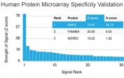 Analysis of HuProt(TM) microarray containing more than 19,000 full-length human proteins using NME2 antibody (clone CPTC-NME2-2). These results demonstrate the foremost specificity of the CPTC-NME2-2 mAb. Z- and S- score: The Z-score represents the strength of a signal that an antibody (in combination with a fluorescently-tagged anti-IgG secondary Ab) produces when binding to a particular protein on the HuProt(TM) array. Z-scores are described in units of standard deviations (SD's) above the mean value of all signals generated on that array. If the targets on the HuProt(TM) are arranged in descending order of the Z-score, the S-score is the difference (also in units of SD's) between the Z-scores. The S-score therefore represents the relative target specificity of an Ab to its intended target.