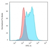 Flow cytometry staining of PFA-fixed human K562 cells with recombinant Bcl10 antibody; Red=isotype control, Blue= recombinant Bcl10 antibody.