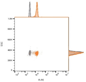 Flow cytometry analysis of bead-bound exosomes derived from MCF-7 cells using recombinant CD81 antibody (clone C81/2885R). Gray=unstained cells, Orange = recombinant CD81 antibody.~