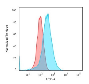 Flow testing of fixed and permeabilized human HeLa cells with Annexin A1 antibody (clone 5E4/1). Red=isotype control, Blue= Annexin A1 antibody.~