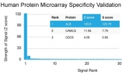 Analysis of HuProt(TM) microarray containing more than 19,000 full-length human proteins using Albumin antibody (clone ALB/2356). These results demonstrate the foremost specificity of the ALB/2356 mAb. Z- and S- score: The Z-score represents the strength of a signal that an antibody (in combination with a fluorescently-tagged anti-IgG secondary Ab) produces when binding to a particular protein on the HuProt(TM) array. Z-scores are described in units of standard deviations (SD's) above the mean value of all signals generated on that array. If the targets on the HuProt(TM) are arranged in descending order of the Z-score, the S-score is the difference (also in units of SD's) between the Z-scores. The S-score therefore represents the relative target specificity of an Ab to its intended target.