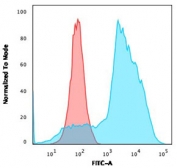 Flow cytometry testing of human MOLT4 cells with OX40 antibody (clone OX40/3108); Red=isotype control, Blue= OX40 antibody.