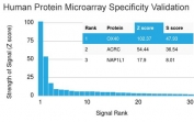 Analysis of HuProt(TM) microarray containing more than 19,000 full-length human proteins using OX40 antibody (clone OX40/3108). These results demonstrate the foremost specificity of the OX40/3108 mAb. Z- and S- score: The Z-score represents the strength of a signal that an antibody (in combination with a fluorescently-tagged anti-IgG secondary Ab) produces when binding to a particular protein on the HuProt(TM) array. Z-scores are described in units of standard deviations (SD's) above the mean value of all signals generated on that array. If the targets on the HuProt(TM) are arranged in descending order of the Z-score, the S-score is the difference (also in units of SD's) between the Z-scores. The S-score therefore represents the relative target specificity of an Ab to its intended target.