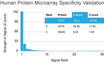 Analysis of HuProt(TM) microarray containing more than 19,000 full-length human proteins using CD47 antibody (clone CD47/3019). These results demonstrate the foremost specificity of the CD47/3019 mAb.<br>Z- and S- score: The Z-score represents the strength of a signal that an antibody (in combination with a fluorescently-tagged anti-IgG secondary Ab) produces when binding to a particular protein on the HuProt(TM) array. Z-scores are described in units of standard deviations (SD's) above the mean value of all signals generated on that array. If the targets on the HuProt(TM) are arranged in descending order of the Z-score, the S-score is the difference (also in units of SD's) between the Z-scores. The S-score therefore represents the relative target specificity of an Ab to its intended target.