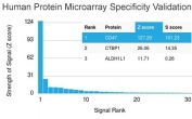 Analysis of HuProt(TM) microarray containing more than 19,000 full-length human proteins using CD47 antibody (clone CD47/2937). These results demonstrate the foremost specificity of the CD47/2937 mAb. Z- and S- score: The Z-score represents the strength of a signal that an antibody (in combination with a fluorescently-tagged anti-IgG secondary Ab) produces when binding to a particular protein on the HuProt(TM) array. Z-scores are described in units of standard deviations (SD's) above the mean value of all signals generated on that array. If the targets on the HuProt(TM) are arranged in descending order of the Z-score, the S-score is the difference (also in units of SD's) between the Z-scores. The S-score therefore represents the relative target specificity of an Ab to its intended target.