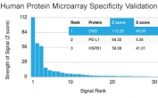 Analysis of HuProt(TM) microarray containing more than 19,000 full-length human proteins using Dystrophin antibody (clone DMD/3245). These results demonstrate the foremost specificity of the DMD/3245 mAb. Z- and S- score: The Z-score represents the strength of a signal that an antibody (in combination with a fluorescently-tagged anti-IgG secondary Ab) produces when binding to a particular protein on the HuProt(TM) array. Z-scores are described in units of standard deviations (SD's) above the mean value of all signals generated on that array. If the targets on the HuProt(TM) are arranged in descending order of the Z-score, the S-score is the difference (also in units of SD's) between the Z-scores. The S-score therefore represents the relative target specificity of an Ab to its intended target.