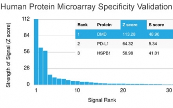 Analysis of HuProt(TM) microarray containing more th