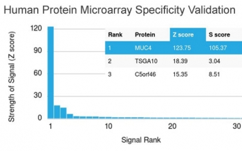 Analysis of HuProt(TM) microarray containing more than 19,000 full-length human proteins using MUC4 antibody (clone MUC4/3084). These results demonstrate the foremost specificity of the MUC4/3084 mAb.<br>Z- and S- score: The Z-score represents the strength of a signal that an antibody (in combination with a fluorescently-tagged anti-IgG secondary Ab) produces when binding to a particular protein on the HuProt(TM) array. Z-scores are described in units of standard deviations (SD's) above the mean value of all signals generated on that array. If the targets on the HuProt(TM) are arranged in descending order of the Z-score, the S-score is the difference (also in units of SD's) between the Z-scores. The S-score therefore represents the relative target specificity of an Ab to its intended target.