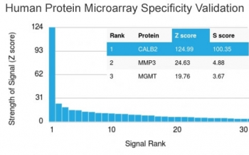 Analysis of HuProt(TM) microarray containing more than 19,000 full-length human proteins using Calbindin 2 antibody (clone CALB2/2807). These results demonstrate the foremost specificity of the CALB2/2807 mAb.<br>Z- and S- score: The Z-score represents the strength of a signal that an antibody (in combination with a fluorescently-tagged anti-IgG secondary Ab) produces when binding to a particular protein on the HuProt(TM) array. Z-scores are described in units of standard deviations (SD's) above the mean value of all signals generated on that array. If the targets on the HuProt(TM) are arranged in descending order of the Z-score, the S-score is the difference (also in units of SD's) between the Z-scores. The S-score therefore represents the relative target specificity of an Ab to its intended target.