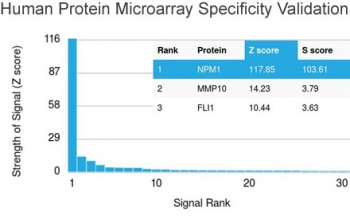 Analysis of HuProt(TM) microarray containing more than 19,000 full-length human proteins using Nucleophosmin antibody (clone NPM1/3286). These results demonstrate the foremost specificity of the NPM1/3286 mAb.<BR>Z- and S- score: The Z-score represents the strength of a signal that an antibody (in combination with a fluorescently-tagged anti-IgG secondary Ab) produces when binding to a particular protein on the HuProt(TM) array. Z-scores are described in units of standard deviations (SD's) above the mean value of all signals generated on that array. If the targets on the HuProt(TM) are arranged in descending order of the Z-score, the S-score is the difference (also in units of SD's) between the Z-scores. The S-score therefore represents the relative target specificity of an Ab to its intended target.