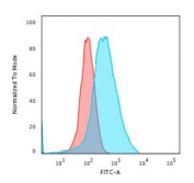 Flow cytometry testing of fixed and permeabilized human MCF-7 cells with Estrogen Receptor alpha antibody (clone NR3Ga-4); Red=isotype control, Blue= Estrogen Receptor alpha antibody.