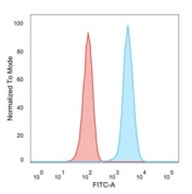 Flow cytometry staining of PFA-fixed human MCF7 cells with HER-2 antibody; Red=isotype control, Blue= HER-2 antibody.
