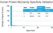 Analysis of HuProt(TM) microarray containing more than 19,000 full-length human proteins using CD23 antibody (clone FCER2/3592). These results demonstrate the foremost specificity of the FCER2/3592 mAb. Z- and S- score: The Z-score represents the strength of a signal that an antibody (in combination with a fluorescently-tagged anti-IgG secondary Ab) produces when binding to a particular protein on the HuProt(TM) array. Z-scores are described in units of standard deviations (SD's) above the mean value of all signals generated on that array. If the targets on the HuProt(TM) are arranged in descending order of the Z-score, the S-score is the difference (also in units of SD's) between the Z-scores. The S-score therefore represents the relative target specificity of an Ab to its intended target.
