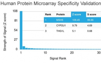 Analysis of HuProt(TM) microarray containing more than 19,000 full-length human proteins using MSH6 antibody (clone MSH6/3086). These results demonstrate the foremost specificity of the MSH6/3086 mAb.<br>Z- and S- score: The Z-score represents the strength of a signal that an antibody (in combination with a fluorescently-tagged anti-IgG secondary Ab) produces when binding to a particular protein on the HuProt(TM) array. Z-scores are described in units of standard deviations (SD's) above the mean value of all signals generated on that array. If the targets on the HuProt(TM) are arranged in descending order of the Z-score, the S-score is the difference (also in units of SD's) between the Z-scores. The S-score therefore represents the relative target specificity of an Ab to its intended target.