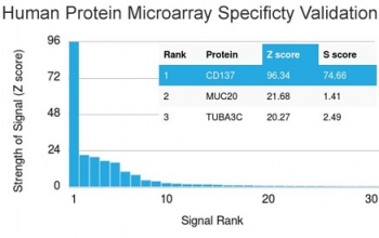 Analysis of HuProt(TM) microarray containing more than 19,000 full-length human proteins using CD137 antibody (clone 4-1BB/3201). These results demonstrate the foremost specificity of the 4-1BB/3201 mAb.<br>Z- and S- score: The Z-score represents the strength of a signal that an antibody (in combination with a fluorescently-tagged anti-IgG secondary Ab) produces when binding to a particular protein on the HuProt(TM) array. Z-scores are described in units of standard deviations (SD's) above the mean value of all signals generated on that array. If the targets on the HuProt(TM) are arranged in descending order of the Z-score, the S-score is the difference (also in units of SD's) between the Z-scores. The S-score therefore represents the relative target specificity of an Ab to its intended target.