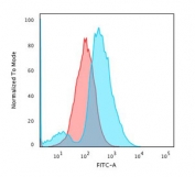 Flow cytometry testing of MeOH-fixed human HEK293 cells with CD137 antibody (clone 4-1BB/3201); Red=isotype control, Blue= CD137 mAb.