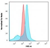 Flow cytometry testing of human U-87 MG cells with CD73 antibody (clone NT5E/2503); Red=isotype control, Blue= CD73 antibody.