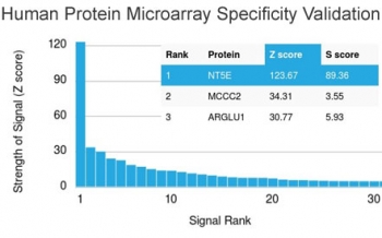 Analysis of HuProt(TM) microarray containing more than 19,000 full-length human proteins using CD73 antibody (clone NT5E/2505). These results demonstrate the foremost specificity of the NT5E/2505 mAb.<br>Z- and S- score: The Z-score represents the strength of a signal that an antibody (in combination with a fluorescently-tagged anti-IgG secondary Ab) produces when binding to a particular protein on the HuProt(TM) array. Z-scores are described in units of standard deviations (SD's) above the mean value of all signals generated on that array. If the targets on the HuProt(TM) are arranged in descending order of the Z-score, the S-score is the difference (also in units of SD's) between the Z-scores. The S-score therefore represents the relative target specificity of an Ab to its intended target.