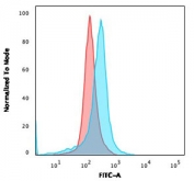 Flow cytometry testing of human U-87 MG cells with CD73 antibody (clone NT5E/2505); Red=isotype control, Blue= CD73 antibody.