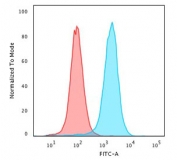 Flow cytometry testing of PFA-fixed human K562 cells with CD43 antibody (clone CDLA43-2); Red=isotype control, Blue= CD43 antibody.