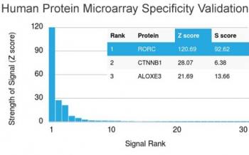 Analysis of HuProt(TM) microarray containing more than 19,000 full-length human proteins using RORC antibody (clone RORC/2941). These results demonstrate the foremost specificity of the RORC/2941 mAb.<br>Z- and S- score: The Z-score represents the strength of a signal that an antibody (in combination with a fluorescently-tagged anti-IgG secondary Ab) produces when binding to a particular protein on the HuProt(TM) array. Z-scores are described in units of standard deviations (SD's) above the mean value of all signals generated on that array. If the targets on the HuProt(TM) are arranged in descending order of the Z-score, the S-score is the difference (also in units of SD's) between the Z-scores. The S-score therefore represents the relative target specificity of an Ab to its intended target.