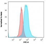 Flow cytometry testing of PFA-fixed human MOLT4 cells with RORC antibody (clone RORC/2941); Red=isotype control, Blue= RORC antibody.