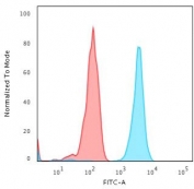 Flow cytometry testing of human Jurkat cells with PD-L2 antibody (clone PDL2/2676); Red=isotype control, Blue= PD-L2 antibody.